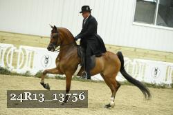 24R13_13756 thumbnail