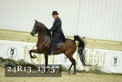 24R13_13757 thumbnail
