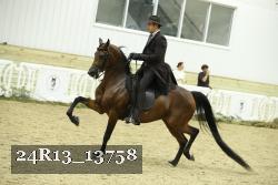 24R13_13758 thumbnail