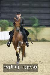 24R13_13759 thumbnail