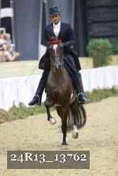 24R13_13762 thumbnail