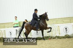 24R13_13765 thumbnail