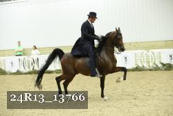 24R13_13766 thumbnail