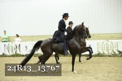 24R13_13767 thumbnail