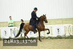 24R13_13768 thumbnail