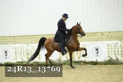24R13_13769 thumbnail