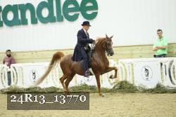 24R13_13770 thumbnail