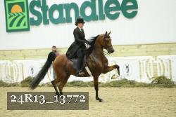 24R13_13772 thumbnail