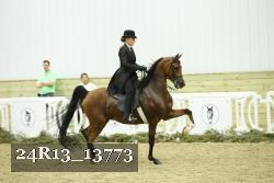24R13_13773 thumbnail