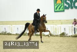 24R13_13774 thumbnail