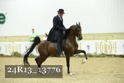 24R13_13776 thumbnail
