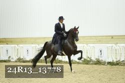24R13_13778 thumbnail