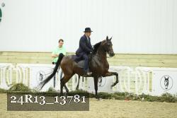 24R13_13781 thumbnail