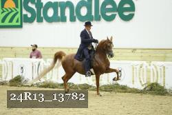 24R13_13782 thumbnail