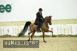 24R13_13787 thumbnail