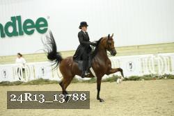 24R13_13788 thumbnail