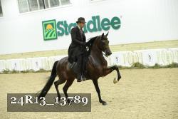 24R13_13789 thumbnail