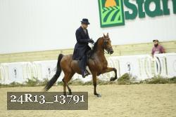 24R13_13791 thumbnail