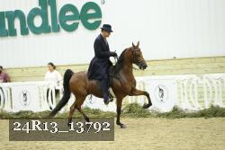 24R13_13792 thumbnail