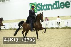 24R13_13793 thumbnail