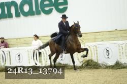 24R13_13794 thumbnail