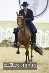 24R13_13795 thumbnail