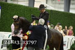 24R13_13797 thumbnail