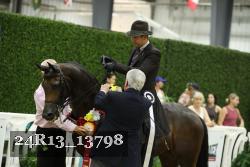24R13_13798 thumbnail