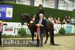 24R13_13799 thumbnail