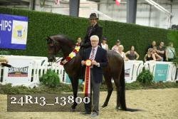 24R13_13800 thumbnail