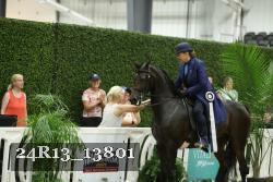 24R13_13801 thumbnail