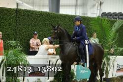 24R13_13802 thumbnail