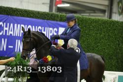 24R13_13803 thumbnail