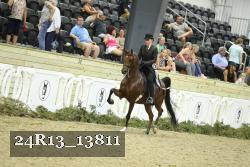 24R13_13811 thumbnail