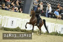 24R13_13812 thumbnail