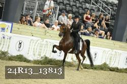 24R13_13813 thumbnail