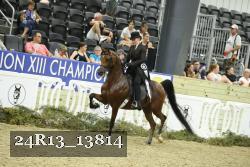 24R13_13814 thumbnail