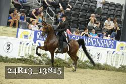 24R13_13815 thumbnail