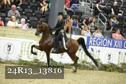 24R13_13816 thumbnail