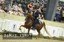 24R13_13817 thumbnail