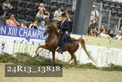 24R13_13818 thumbnail