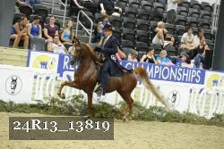 24R13_13819 thumbnail