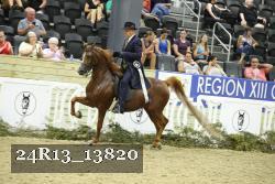 24R13_13820 thumbnail