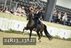 24R13_13821 thumbnail