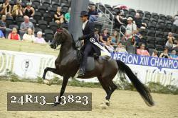 24R13_13823 thumbnail