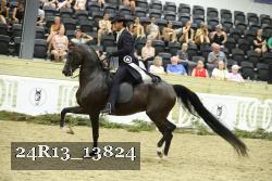 24R13_13824 thumbnail