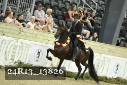 24R13_13826 thumbnail