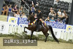 24R13_13827 thumbnail
