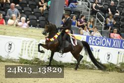 24R13_13829 thumbnail