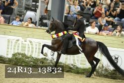24R13_13832 thumbnail